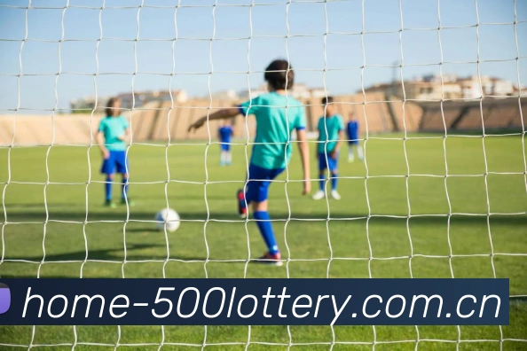 500彩票网服务体系